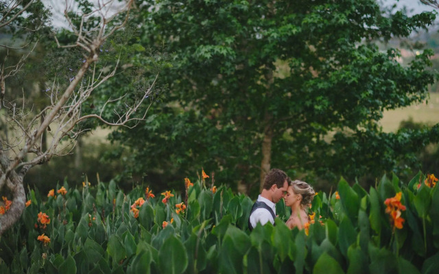 The Lodge Bellingen