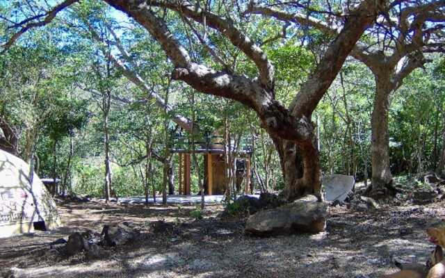 The Bri Bri House at Juan Manuel National Park, Rustic but Nice