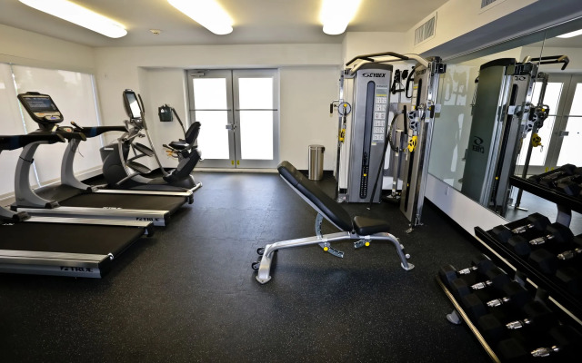 NUOVO Miami Apartments at Coconut Grove