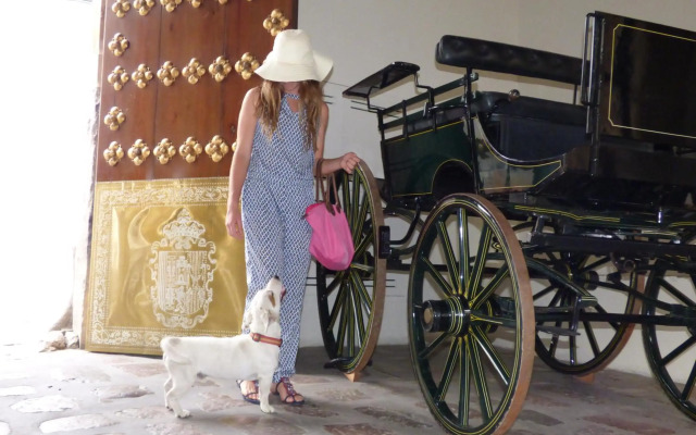 Las Casas de la Judería de Córdoba
