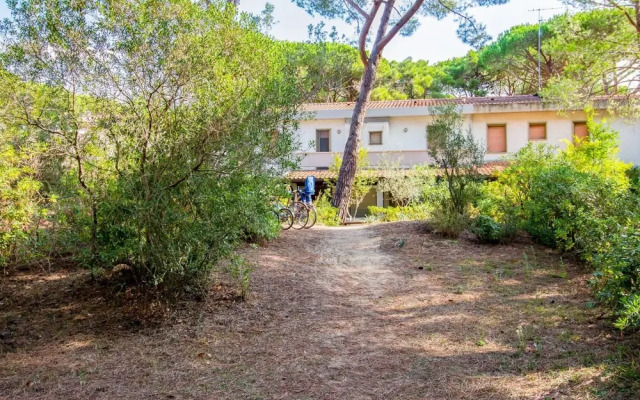 Barracuda Principina a Mare