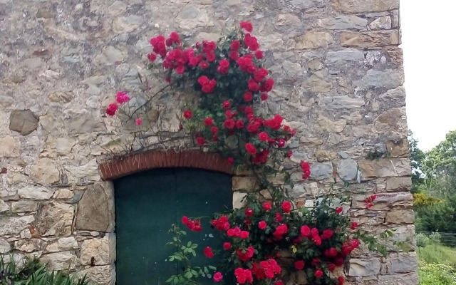 Magrignano tra animali e natura