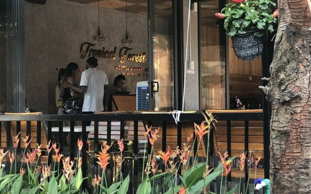 Tropical Forest Hostel & Apartments