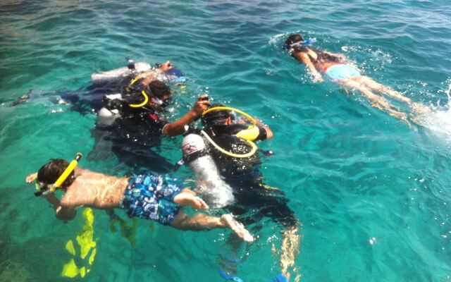 Shark Bay Oasis