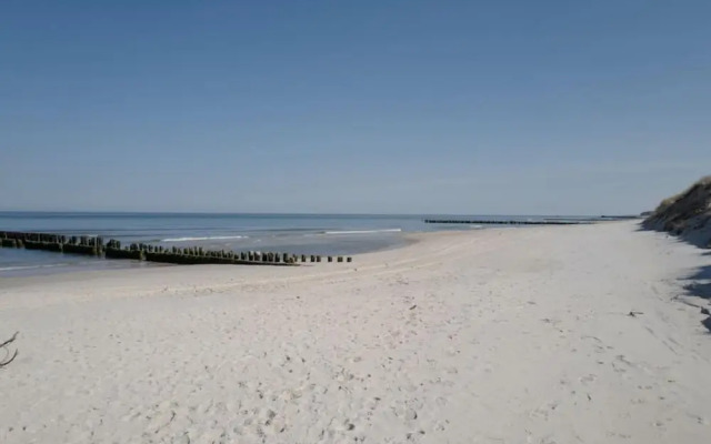 Art Forrest 33 M in Rogowo