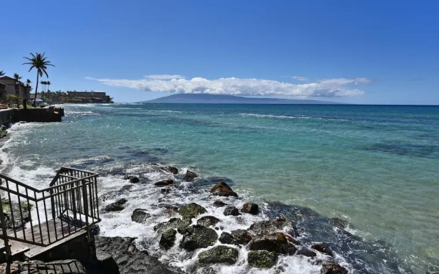 Kaleialoha 402