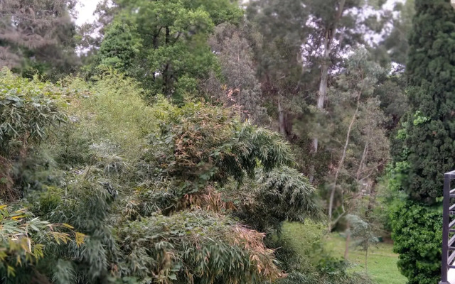 Apartments in the cul-de-sac Nagorny 13B