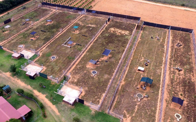Loebies Guest Farm