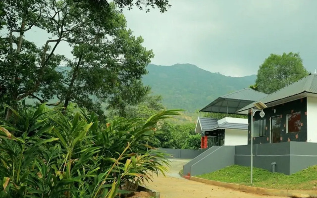 Moon hill munnar