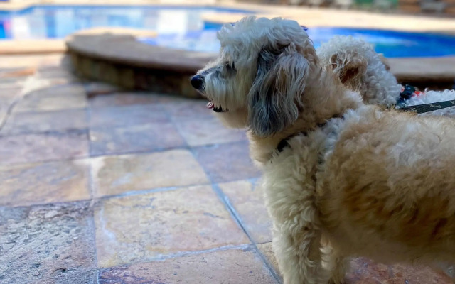 Quality Inn Mazatlan