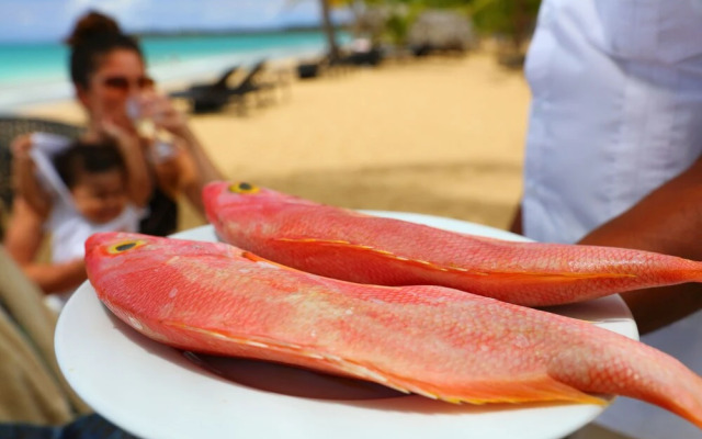 Beach Apartment at Sublime Samana