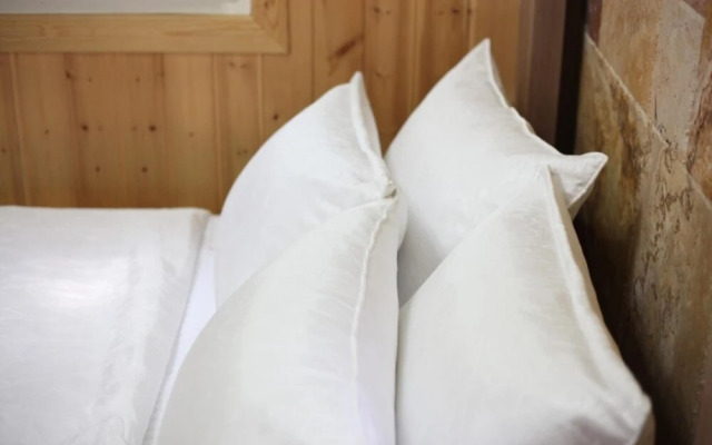 Chuncheon Pet Island Pension