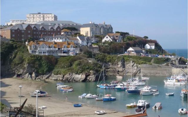 The Harbour