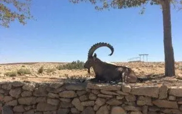 4 Zimmers in Mitzpe Ramon