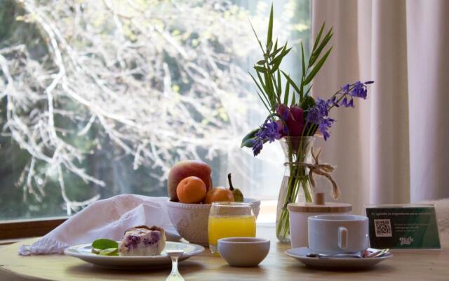 Hotel & Termas Huife