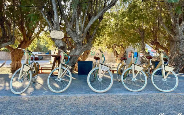 Santa Barbara