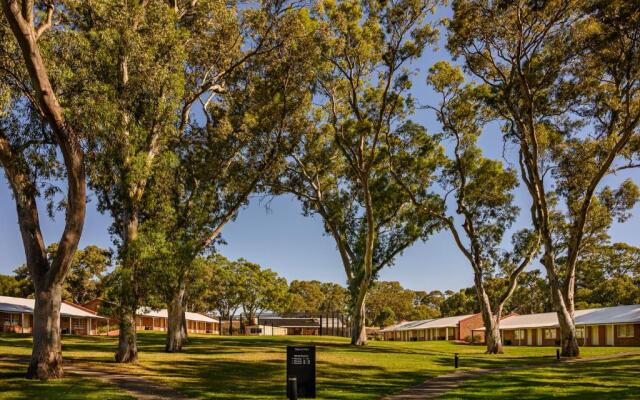 Serafino McLaren Vale