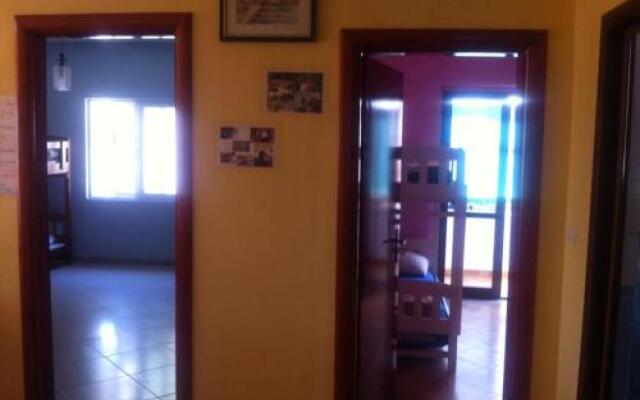 Dolphin Hostel
