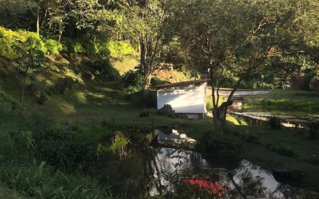 Charco corazón