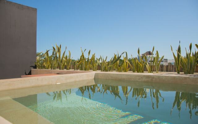 Amira Residence