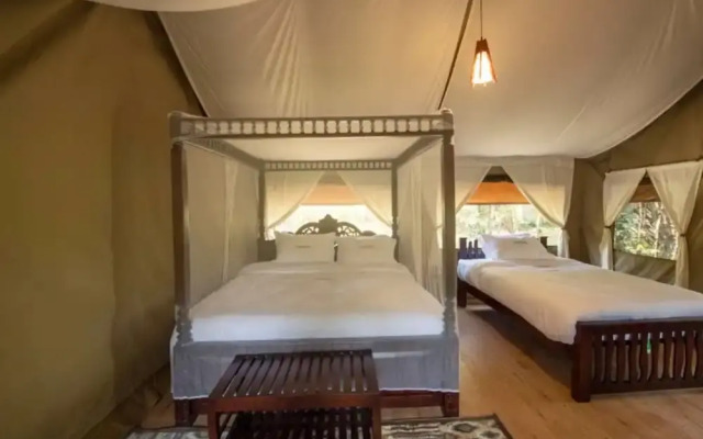 Lorian Safari Camp