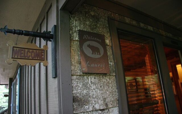 Black Bear Lodge of Sapphire