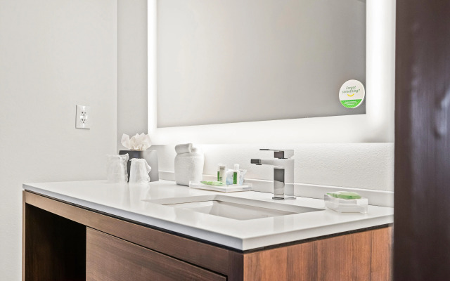 Holiday Inn St. Petersburg West by IHG