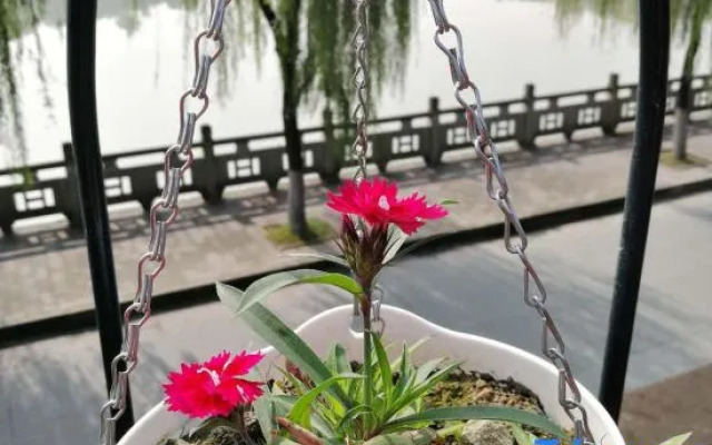 Zhengjia Hostel