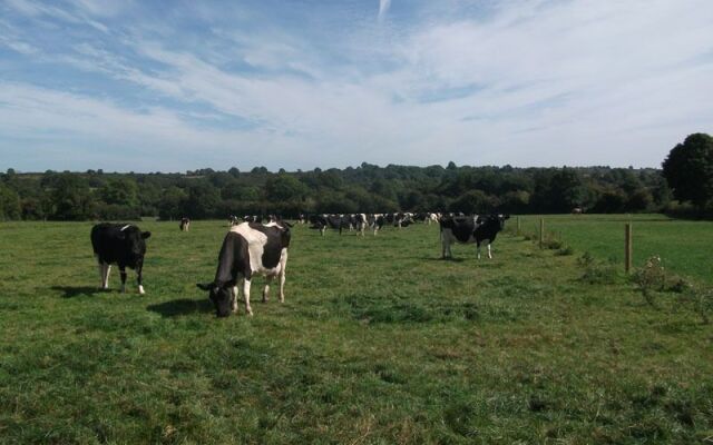 Coolmore Agri Farmhouse