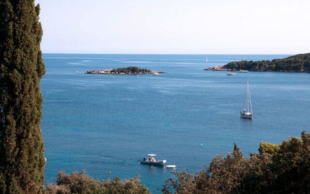 Apartment Iva - with nice view: A1 Molunat, Riviera Dubrovnik