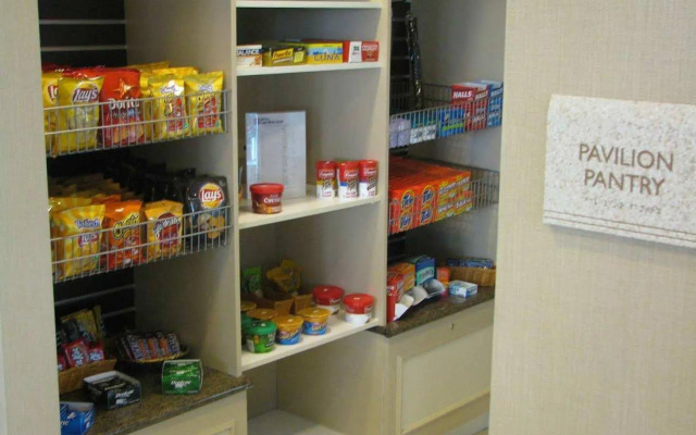 Hilton Garden Inn Detroit/Novi