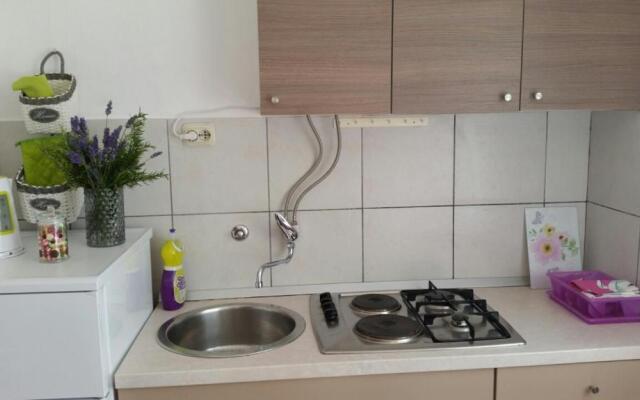 Apartment Radman