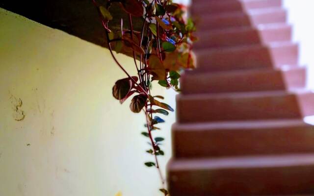 Casa I'X - Hostel