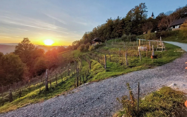 Vineyard Cottage Pavlin 3
