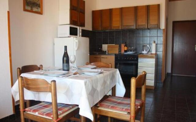 Apartments Drandic 94