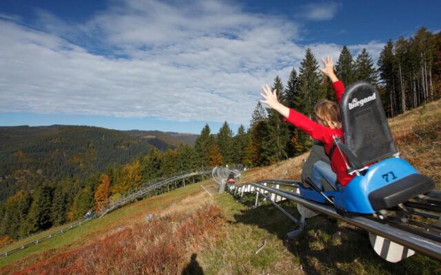 FeWo Seeblick Nr 2 - 5 Zimmerwohnung - Feldberg Bärental