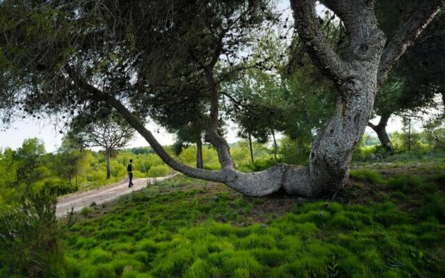 Villa in Spain at Las Colinas Golf & Country Club