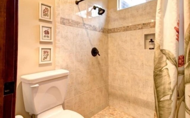 Volcano Dancing Ferns Main House home