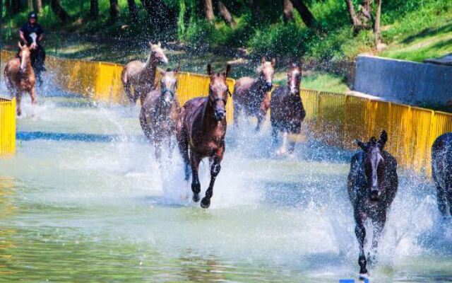 Zhongnan Lion King Resort Hotel