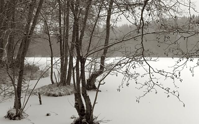 Seegasthof Franz Bolz GBR