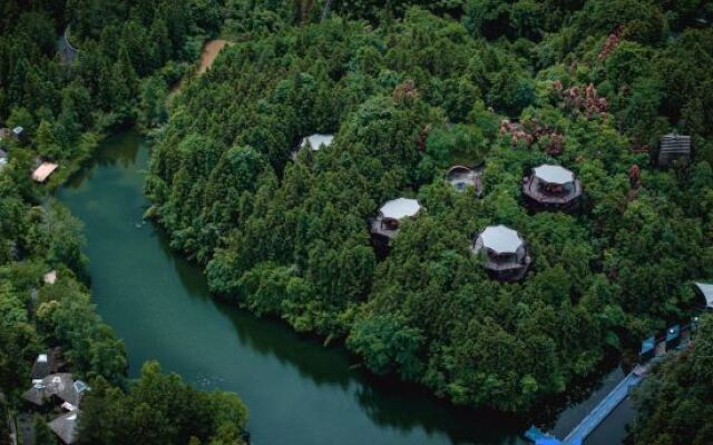 Ziyoujia · Tree house World