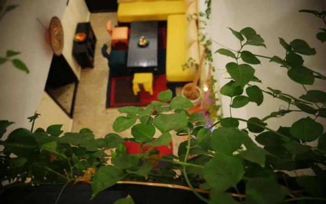 Riad Sardinas & Chili