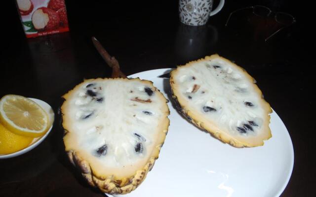 North Borneo Biostation Resort