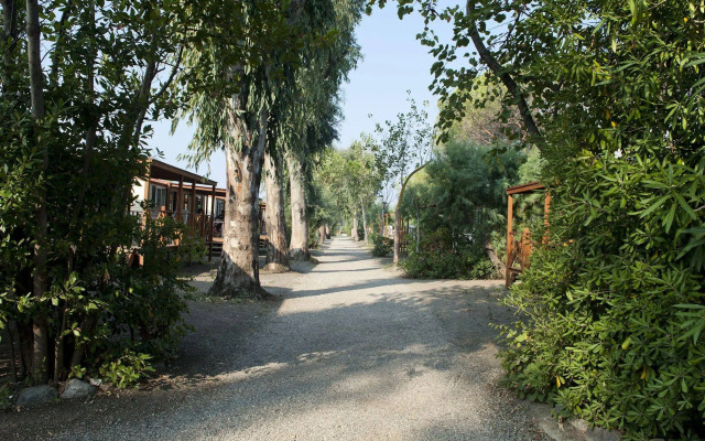 New Camping Le Tamerici