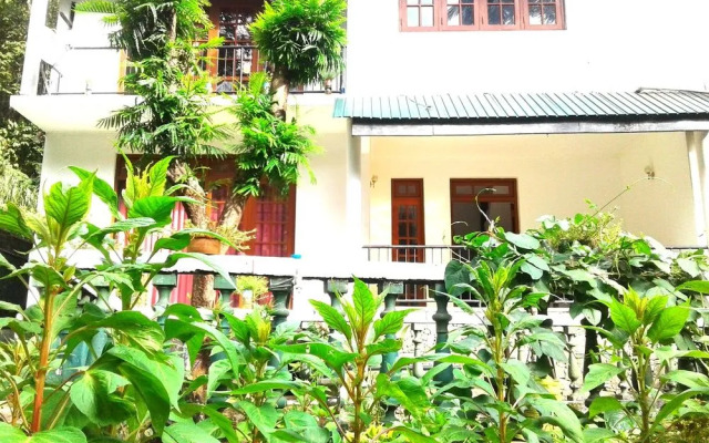 The Lotus Blue - Hostel