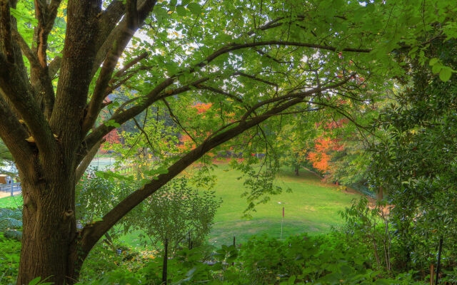 Chestnut Tree Holiday Apartments