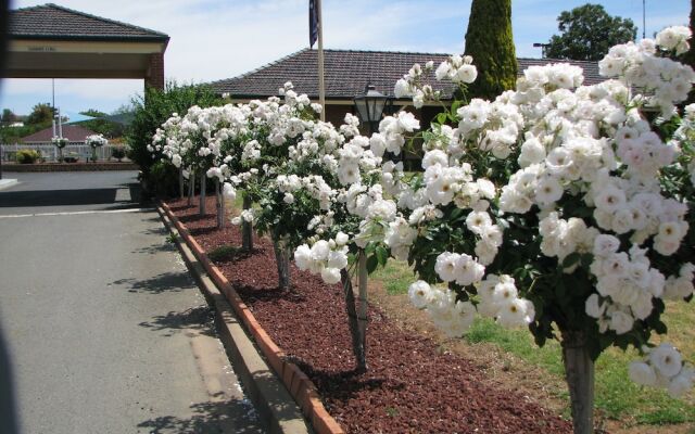 Comfort Inn Bushman's