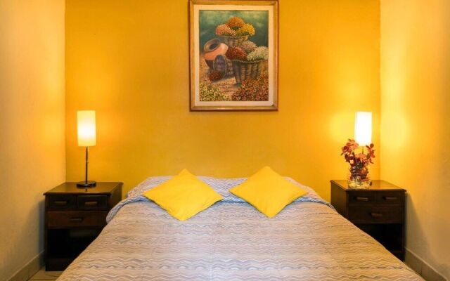 Flying Dog Backpackers Hostel