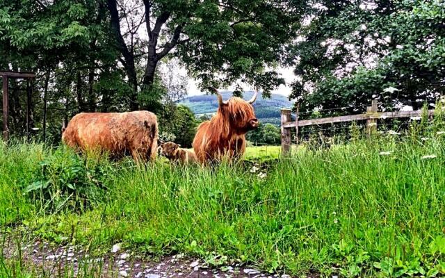 Drumbuie Farm B&B