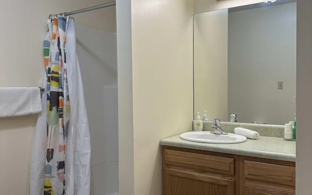 Cozy Downtown Apartment TV Walk Everywhere